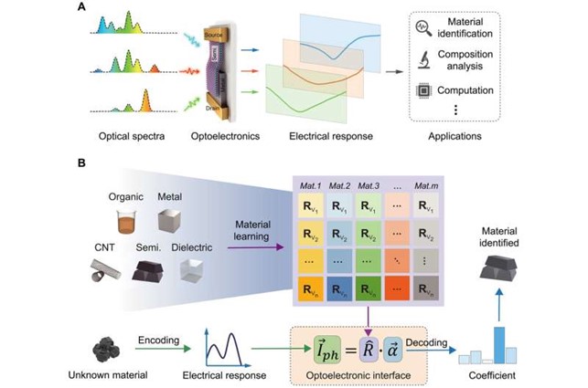 Infografica Science Advances