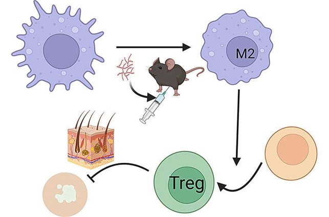 Journal of Investigative Dermatology