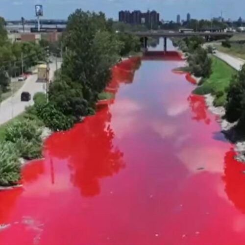 Il fiume diventa rosso sangue: mistero a Buenos Aires