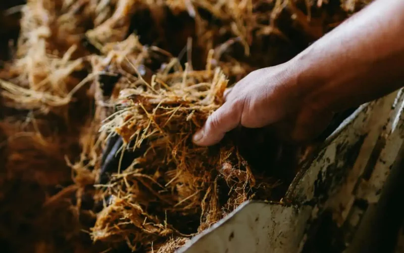 Pannelli solari dalle biomasse agricole, la rivoluzione che funziona