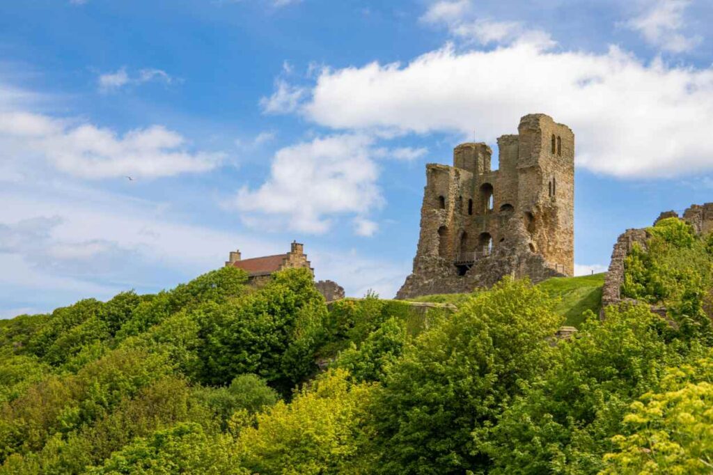 Le foreste del North Yorkshire - Foto di David Roberts: https://www.pexels.com/it-it/foto/punto-di-riferimento-nuvole-foresta-alberi-12282462/