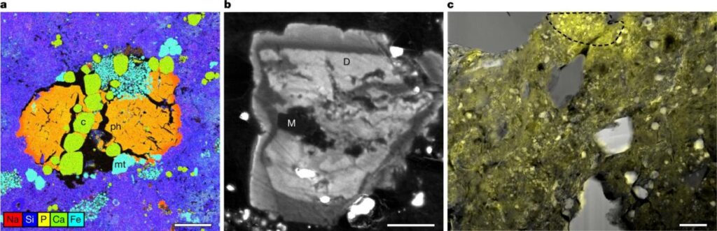 Presenza e tessiture dei carbonati nei campioni di Bennu.
Foto: Nature