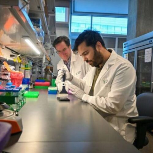 Nuovo test del sangue rileva il tumore al pancreas in fase iniziale