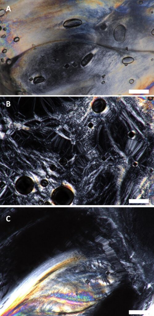 Foto Journal of Molecular Liquids