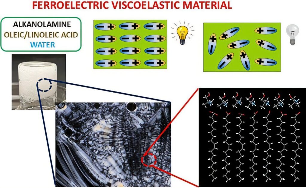 Infografica Journal of Molecular Liquids